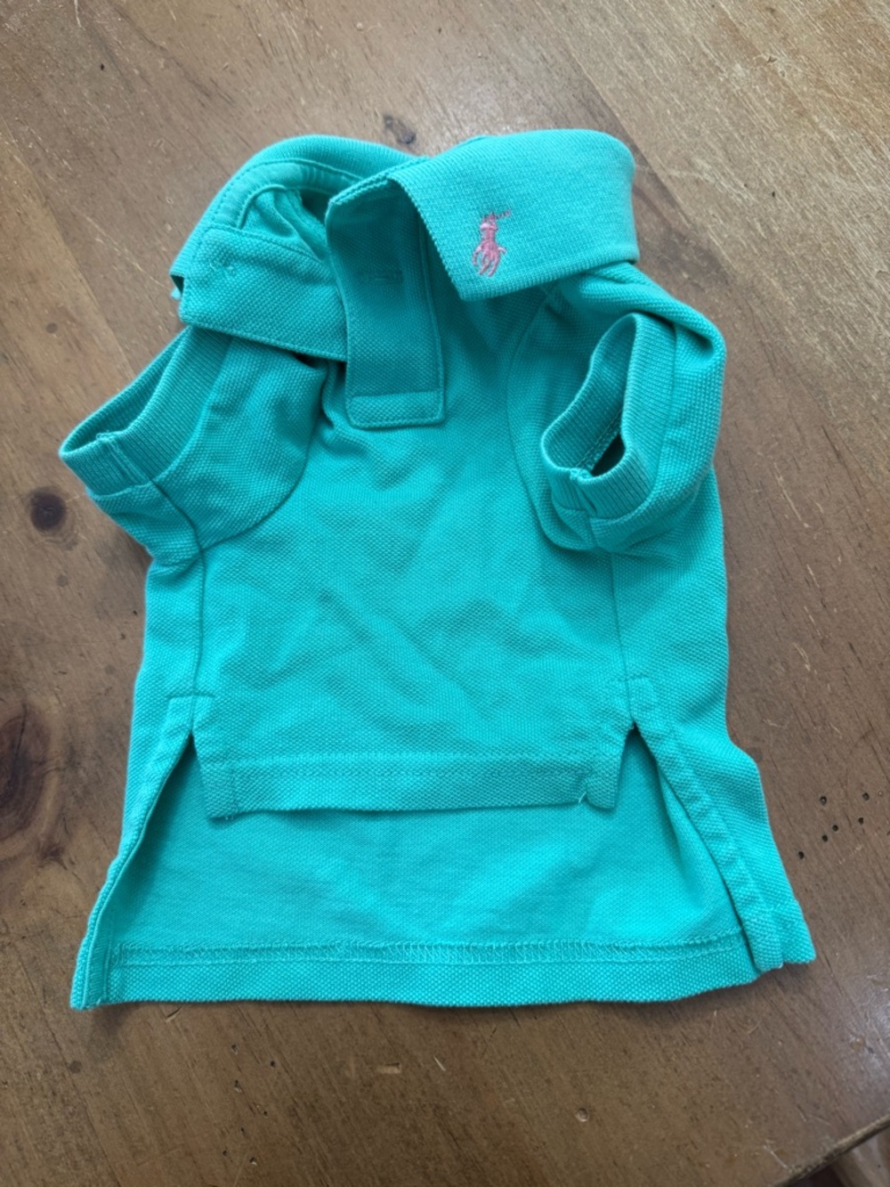 Polo by Ralph Lauren Teal Dog Polo with Pink Pony